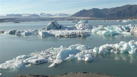 Geography KS3 / GCSE: How animals have adapted to live in the Arctic tundra - BBC Teach