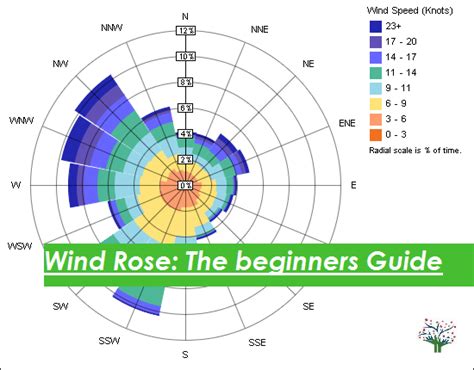 Wind Rose: The Beginners guide - Perfect Pollucon Services