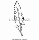 Linear Sketch Bird Feather Coloring Vector Stock Royalty Free  sketch template