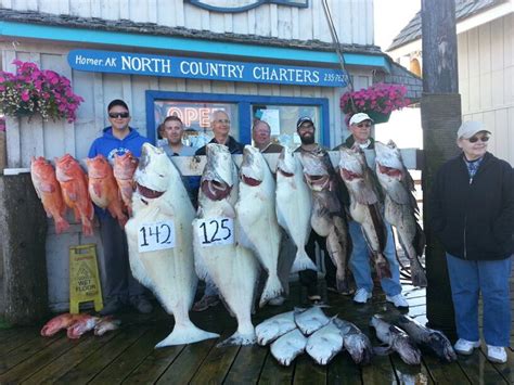 The Lodge at Otter Cove – Homer Alaska All Inclusive Fishing Lodge