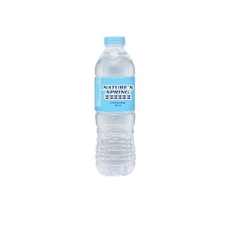 Nature's Spring Purified Water 500mL | Shopee Philippines