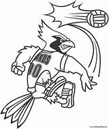 Cardinals Football Coloring Pages At GetColoringscom  Free Printable sketch template