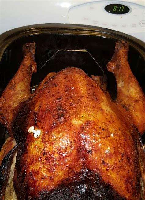 Perfect Turkey in an Electric Roaster Oven Recipe - Food.com | Recipe | Turkey recipes ...