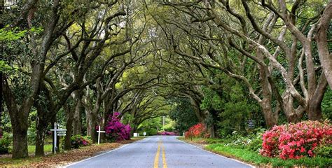 Bed and Breakfast near Gulf Shores Alabama :: Magnolia Springs B&B