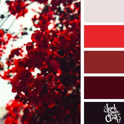 Red color palette | 25 color palettes inspired by the PANTONE color ...