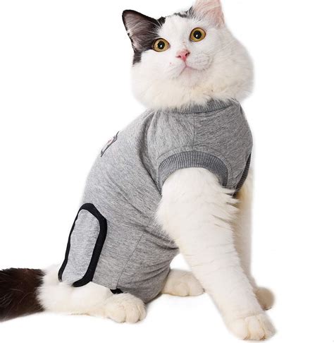 Thundershirt for Cats (Reviews & Buying Guide 2023) - PetsHotSpot.com