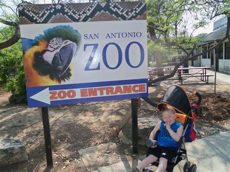 San Antonio Zoo | San antonio zoo, Zoo, Riding