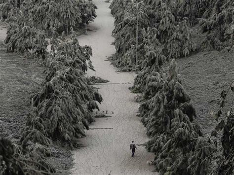 Doomsday? Ash-covered villages reel under the weight of ashfall spewed out by the Philippines ...