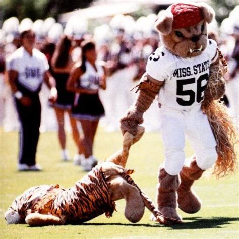 Mississippi State Bulldogs mascot Bully drags a tiger down the field ...