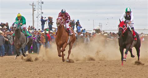 County Fair - Yuma County