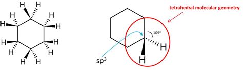 [Solved] A 3D representation of a cyclohexane (C6H12) molecule, a cyclic... | Course Hero