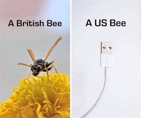 Know The Difference Meme Bee