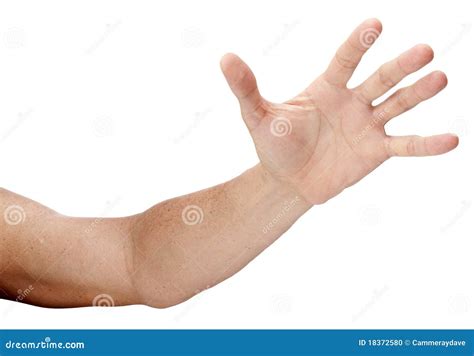 Hand Reaching Out Isolated stock photo. Image of grab - 18372580