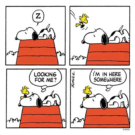 Pin by Tina Smith on Quotes | Snoopy comics, Snoopy cartoon, Snoopy pictures