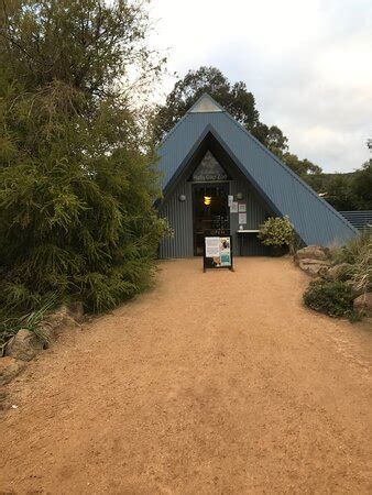 Halls Gap Zoo - 2020 All You Need to Know BEFORE You Go (with Photos ...