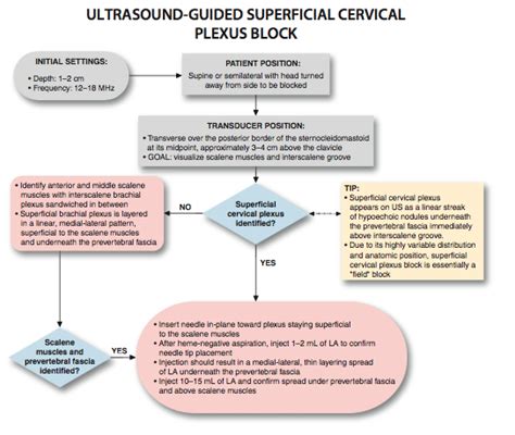 Ultrasound-Guided Superficial Cervical Plexus Block - NYSORA The New ...