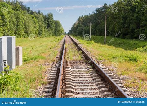 Single Modern Railroad Tracks in the Forest Stock Image - Image of sleepers, equipment: 153860001