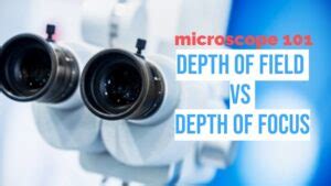 Microscope 101: Depth of Field vs Depth of Focus » Microscope Club