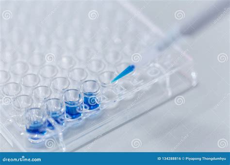 Biochemical Analysis and Chemical Analysis in Lab. Stock Photo - Image ...