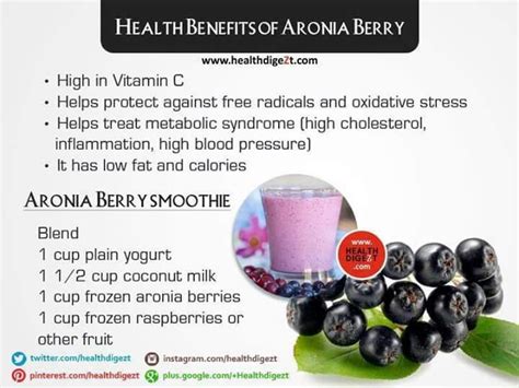 Health benefits of Aronia Berry | Berries, Health, Blending smoothies