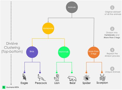 Classification vs Clustering in Machine Learning: A Comprehensive Guide ...