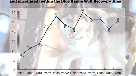 Why Is The Mexican Gray Wolf Endangered - Danger Choices