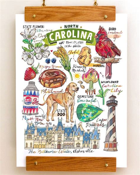 North Carolina Print, State Symbols, Illustration, State Art, Cardinal ...