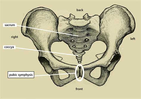 Physical alignment - do you have it? Take a minute & check. - LessWrong 2.0 viewer