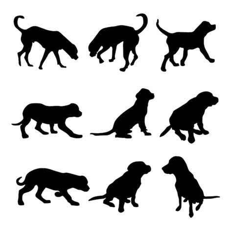 Premium Vector | Set walking and standing dog silhouette