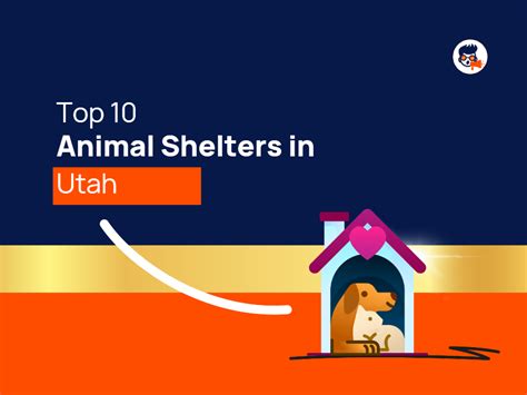 Top 10 Animal Shelters in Utah - TheMktgboy