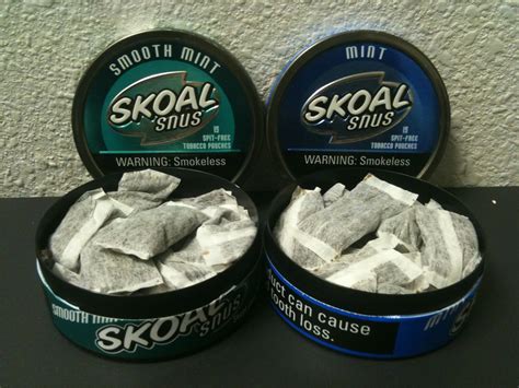 Snubie.com: Skoal "Snus" 2011 Review. 17 January 2011.