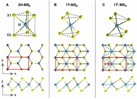 Atomistic structure of monolayer transition metal dichalcogenide MX 2 .... | Download Scientific ...