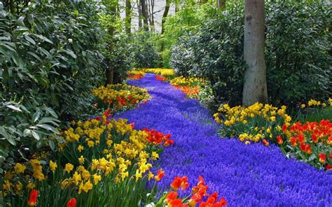 Beautiful colorful flowers - Relaxing nature in the park Wallpaper Download 5120x3200