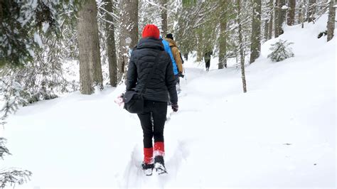 Tourists hiking in winter mountains. Adventure and travel Stock Video ...