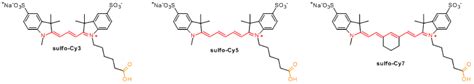 Cyanine dyes 花青染料综述-上海牧荣生物科技有限公司