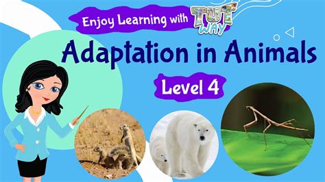 Adaptation Pictures Of Animals