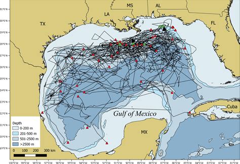 Frontiers | Seasonal Occurrence, Horizontal Movements, and Habitat Use Patterns of Whale Sharks ...