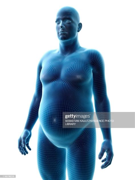 Obese Man Illustration High-Res Vector Graphic - Getty Images