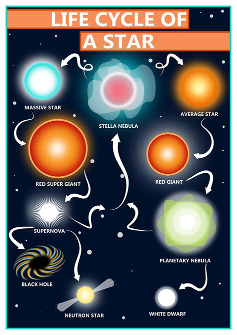 GCSE Science Life Cycle of a Star Educational A2 Poster – Tiger Moon