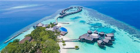 Review Lily Beach Resort & Spa Maldives on Tripadvisor