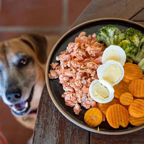 Salmon Broccoli Dog Food Recipe