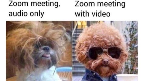 Share your favorite virtual meeting meme!