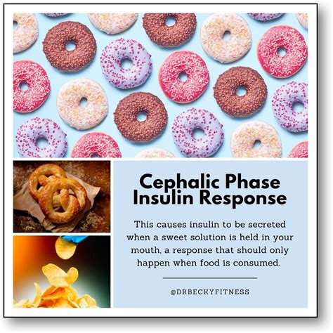 Cephalic-Phase-Insulin-Response - Dr Becky Fitness