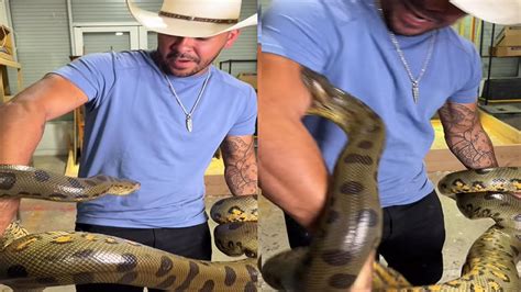 video Snake Anaconda man bite viral on Instagram nmp