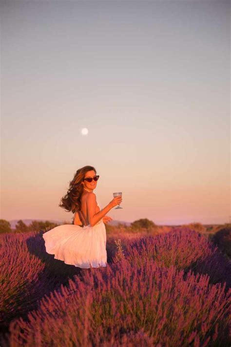 The Londoner » Lavender Sunset in Provence