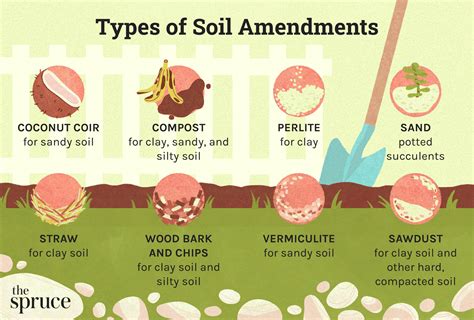 Guide to Soil Amendments: What They Are and How to Use Them