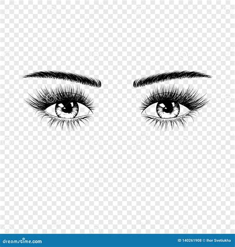 Female Eyes Silhouette With Eyelashes And Eyebrows. Vector Illustration ...