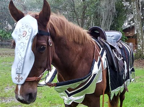 Horse Blankets & Sheets Barding Renaissance Horse armor Medieval ...