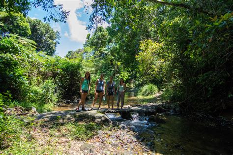 Daintree Rainforest Exclusive Private Wildlife Charter Tour