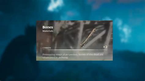 How To Get And Farm Bones In Enshrouded